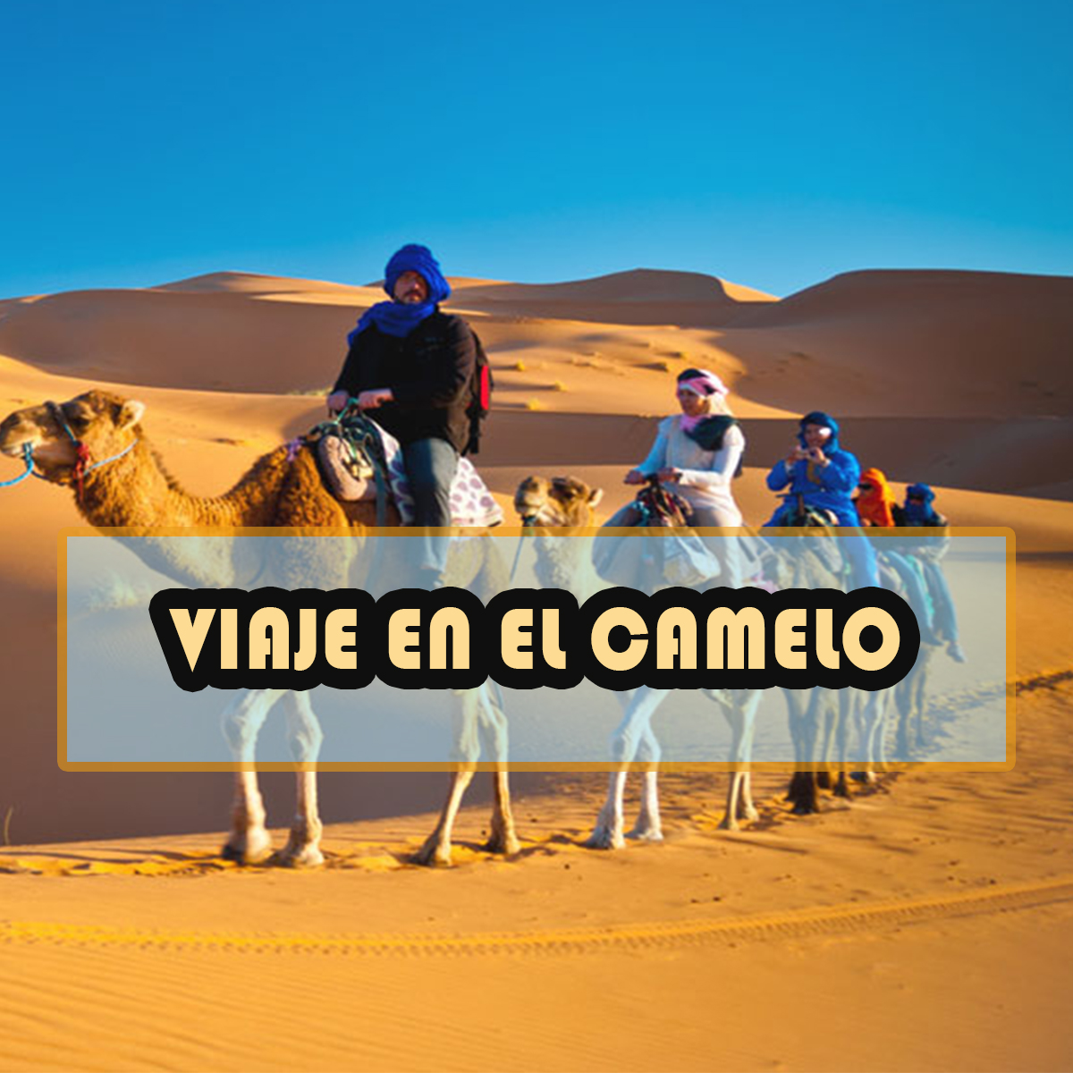 camel-ride-2