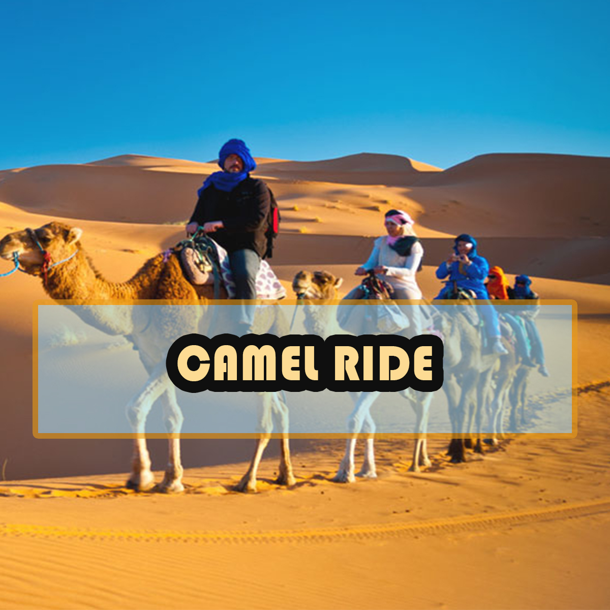 2 camel ride 1